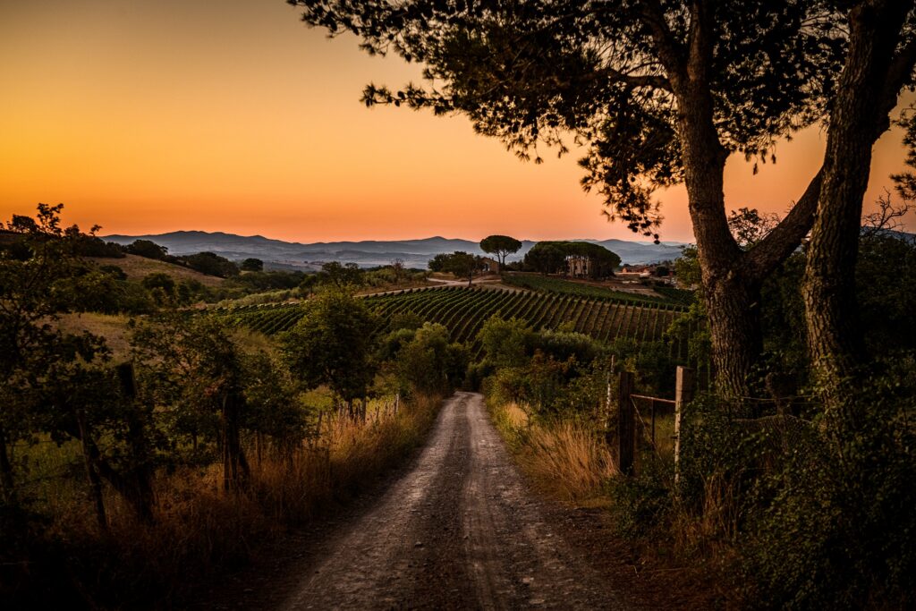 Eccellenze in calice